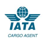 Untitled design (11)